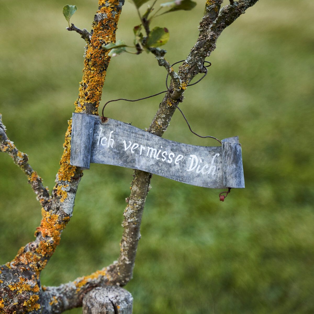 Workshop "Letzte Hilfe Koffer"