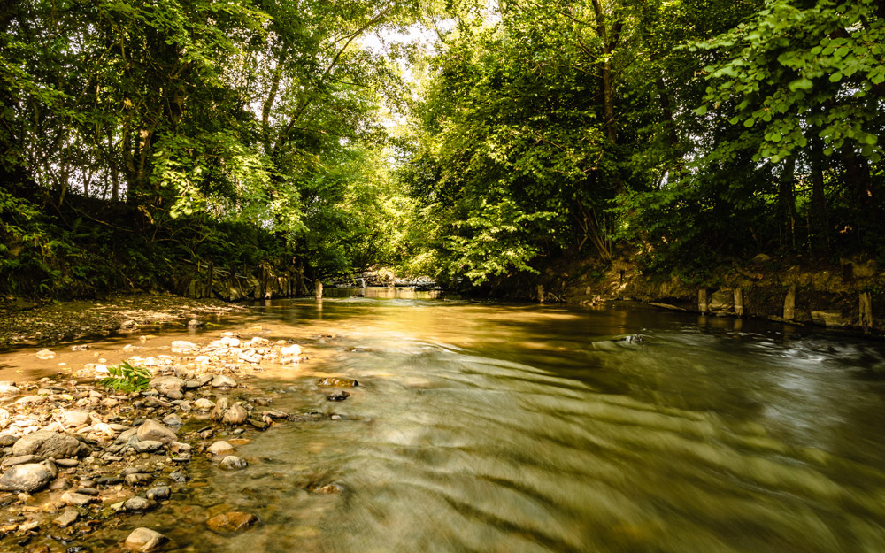Das Leben ist ein Fluss