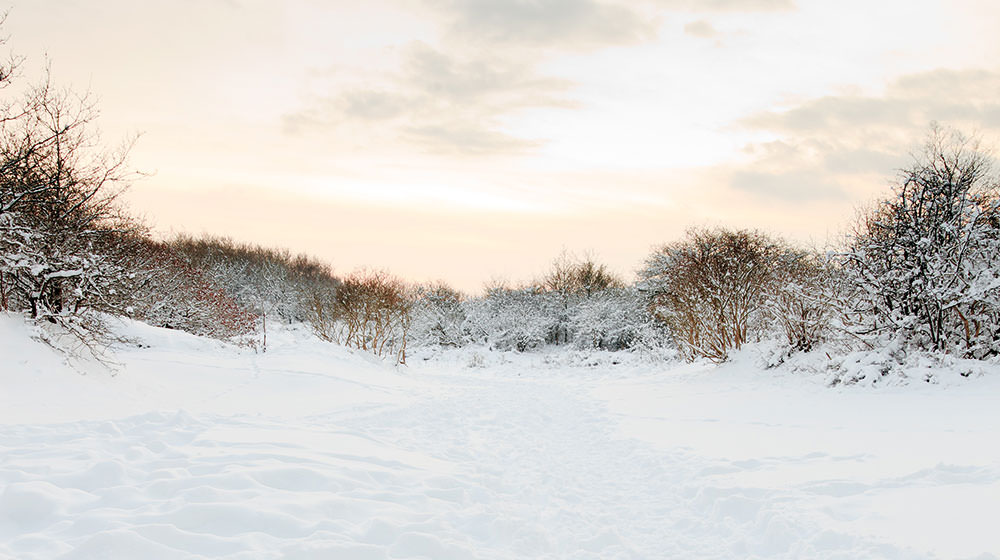 Schnee