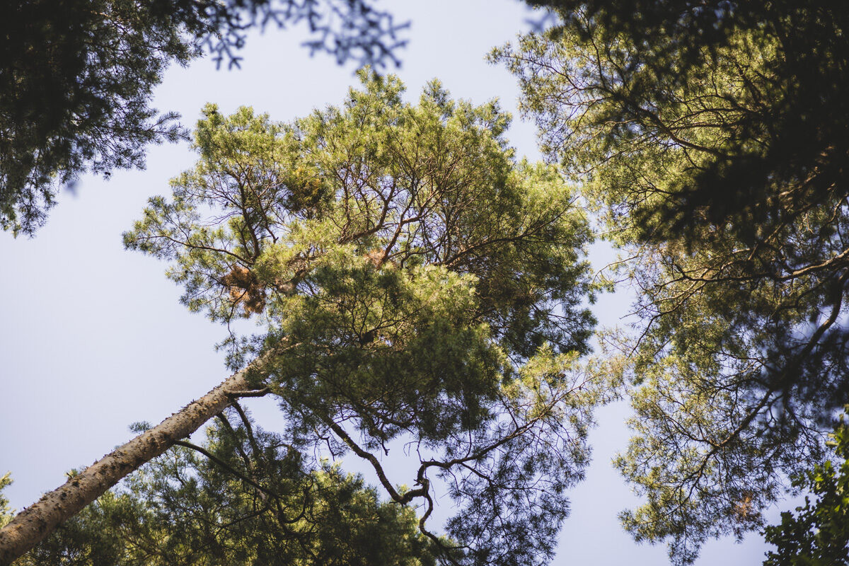 Die heilende Kraft der Natur: Rückblick auf das Hospizcafé im Sommer