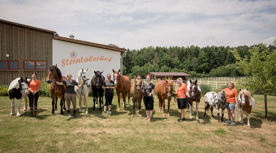In der Ruhe liegt die Kraft