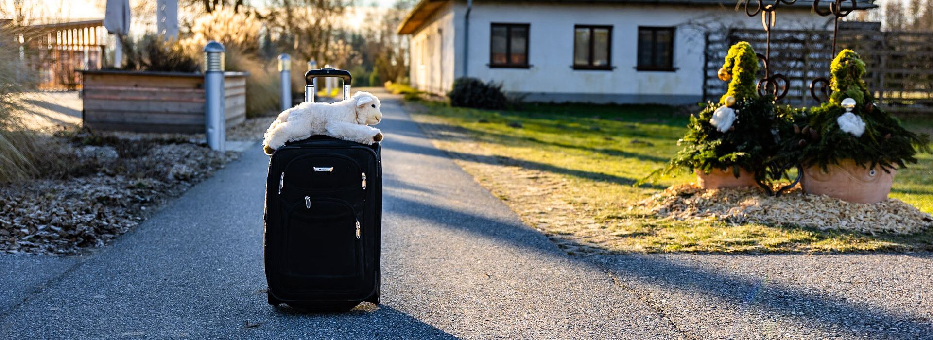 Was belastet dich. Was willst du dalassen, wenn du vom Sterntalerhof nach Hause fährst, in den Weihnachtsurlaub. Abschied hat viele Gesichter. | © Sterntalerhof, Stephan Zwiauer
