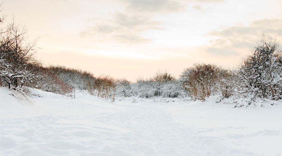 Schnee von morgen